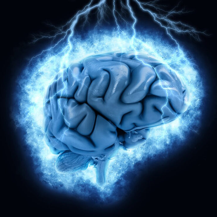 Boost Your Brain Power - 3 Activities that Activate the Brain