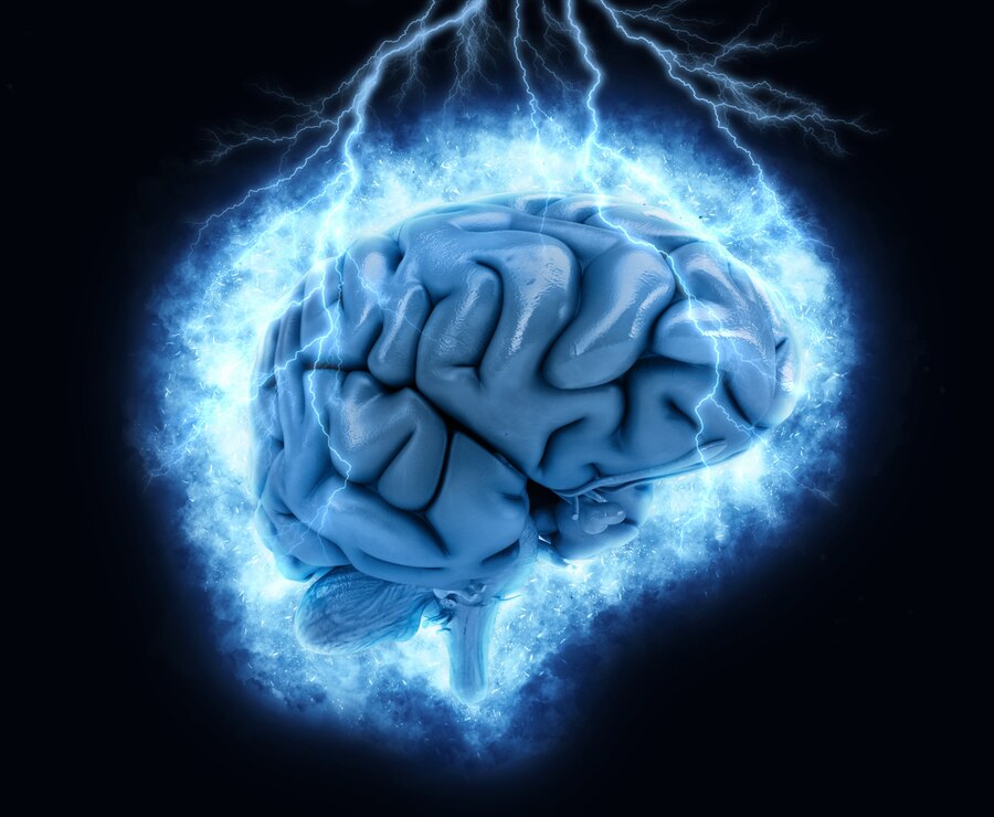 Boost Your Brain Power - 3 Activities that Activate the Brain