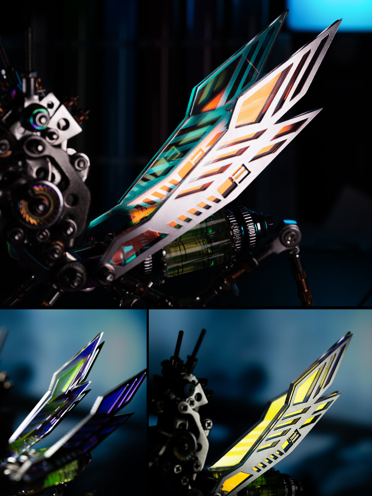 Vibrant Wings